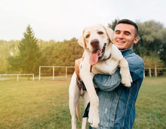 Man's Best Friend