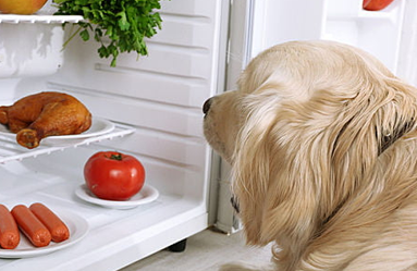 The Right Nutrition at the Right Time