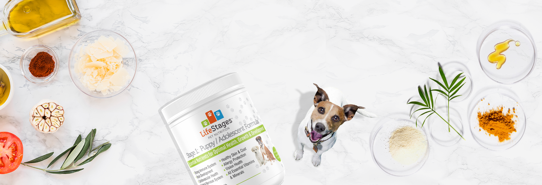 Life Stages Pet Nutrition LifeStagesPetNutrition