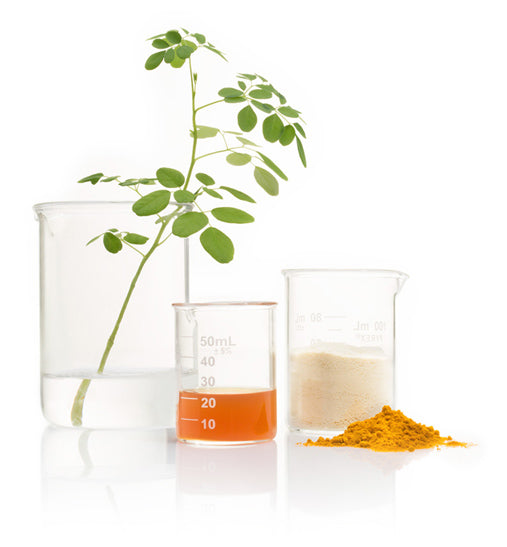 lifestagespetnutrition